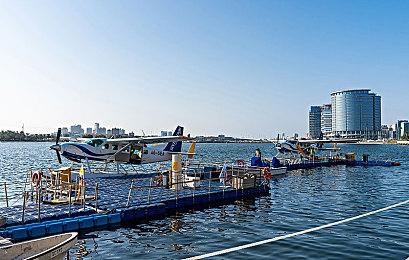 《动物派对》IGN 7分：在线有趣、本地不愉快