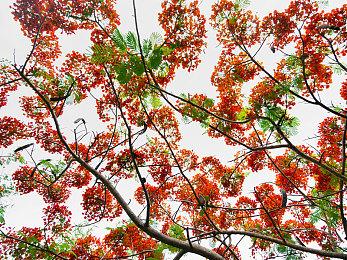 《灰烬创造者》将转为虚幻引擎5制作 实机演示发布